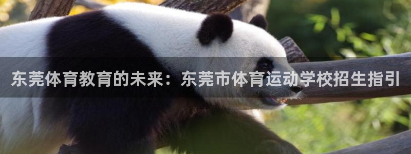 678体育官网地址