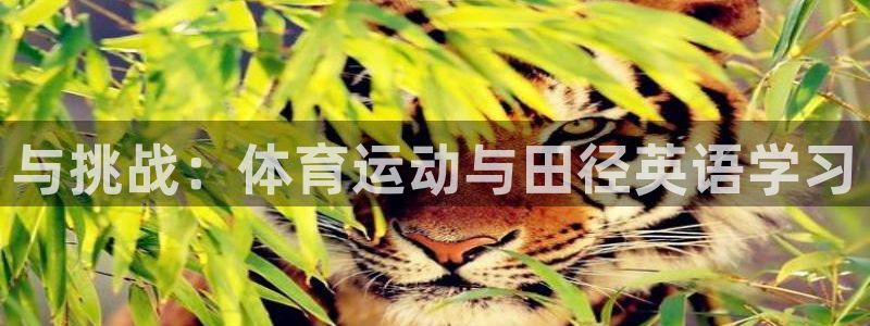 678体育知识