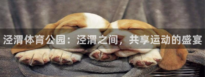 678体育官网下载