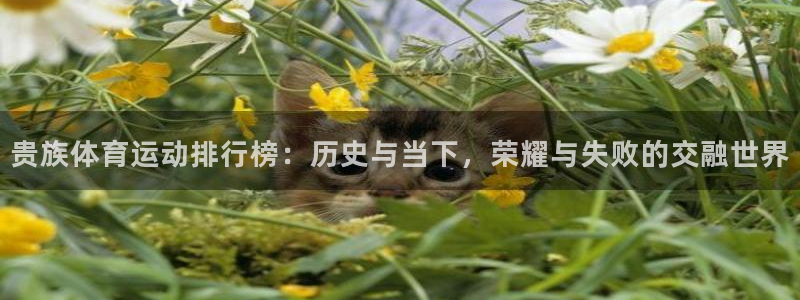 678体育官网