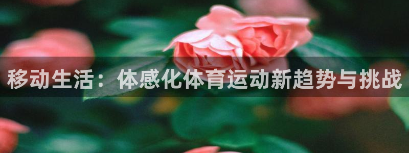 678体育官网地址