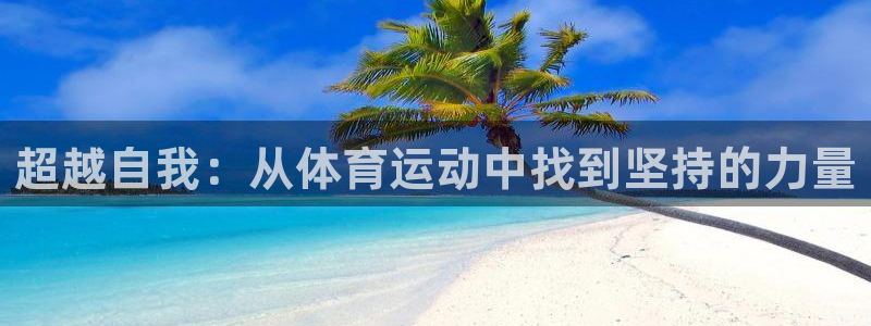 678体育官网