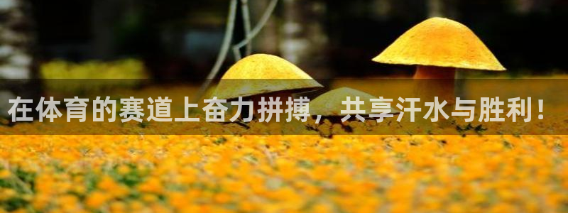 皇冠678体育