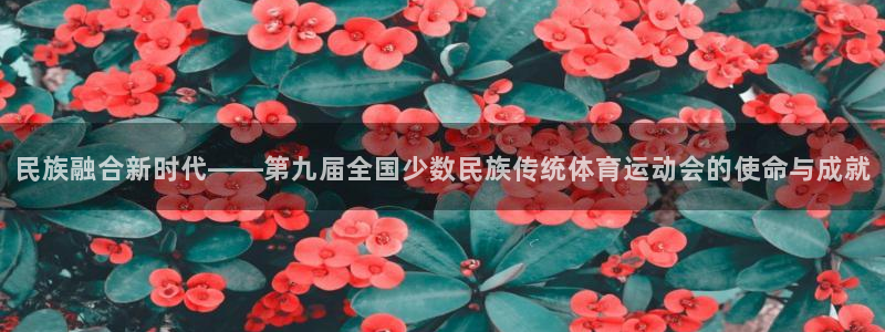 678体育官网下载