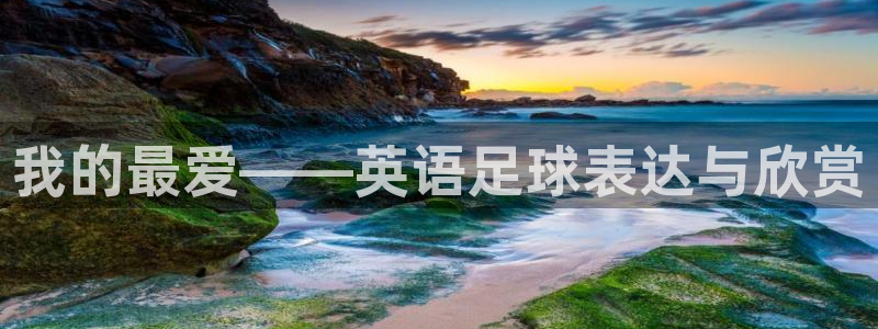 678体育官网地址