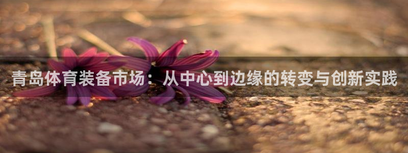 678体育app