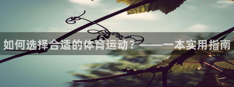 678体育官网地址
